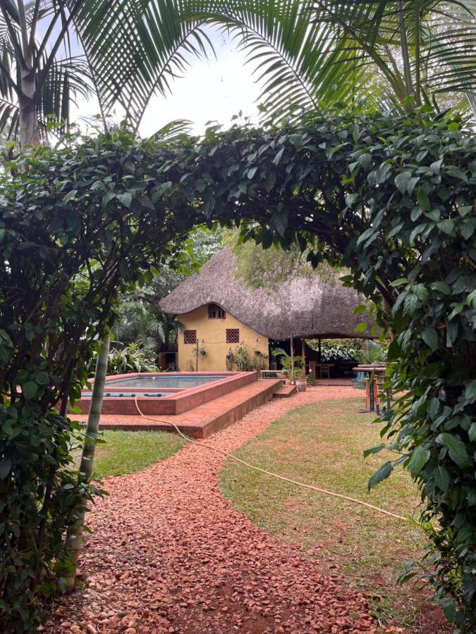 Bed and Breakfast 30 Wilson Jinja Exteriér fotografie