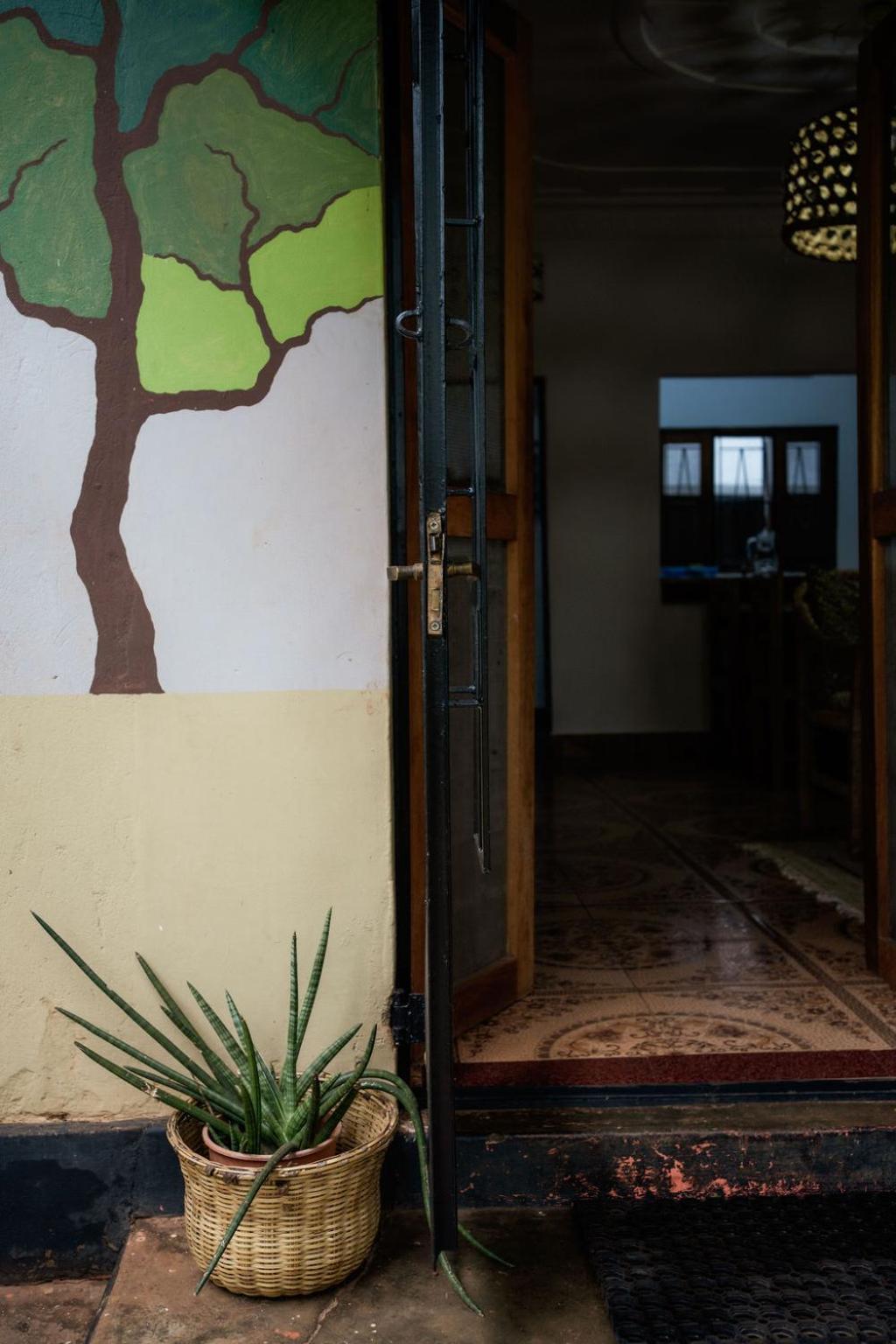 Bed and Breakfast 30 Wilson Jinja Exteriér fotografie