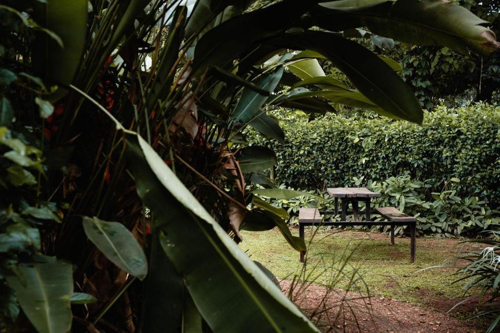 Bed and Breakfast 30 Wilson Jinja Exteriér fotografie